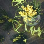 vaso di vetro con rametti di mimosa fresca e nastri gialli decorativi su un pavimento in legno scuro.