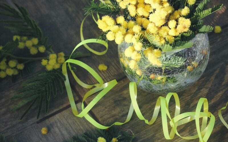 vaso di vetro con rametti di mimosa fresca e nastri gialli decorativi su un pavimento in legno scuro.