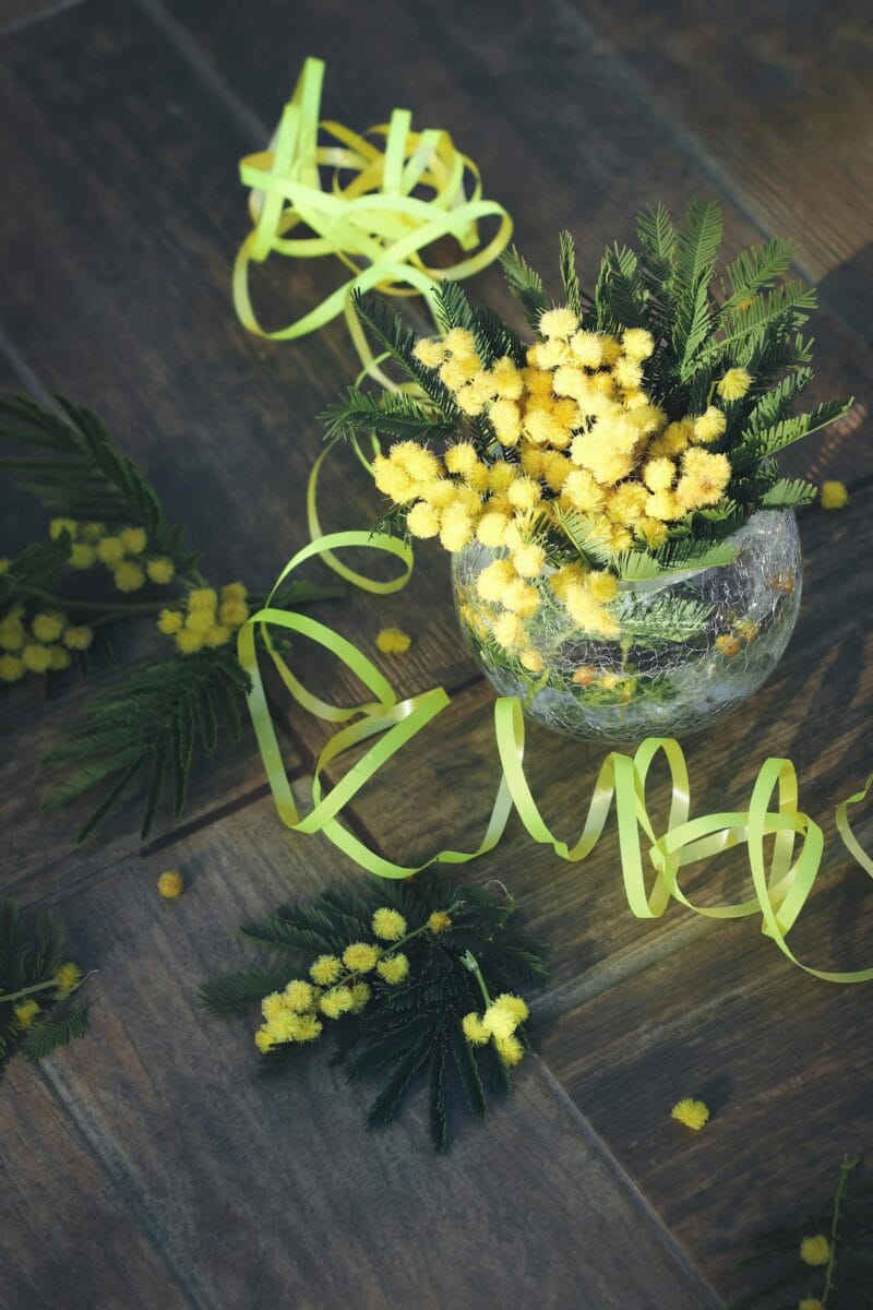 vaso di vetro con rametti di mimosa fresca e nastri gialli decorativi su un pavimento in legno scuro.