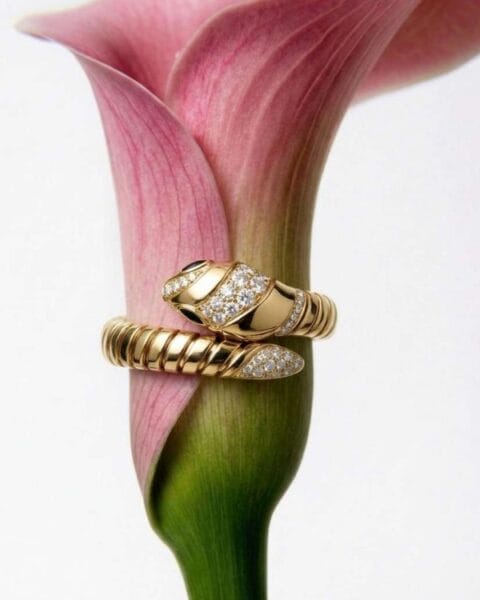 Primo piano di un anello Bulgari Serpenti in oro giallo e diamanti avvolto attorno a una calla rosa, simbolo di lusso ed eleganza senza tempo.