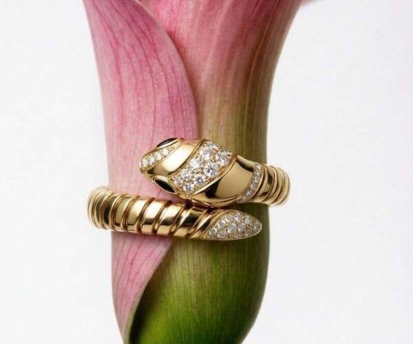 Primo piano di un anello Bulgari Serpenti in oro giallo e diamanti avvolto attorno a una calla rosa, simbolo di lusso ed eleganza senza tempo.