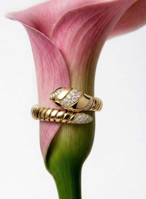 Primo piano di un anello Bulgari Serpenti in oro giallo e diamanti avvolto attorno a una calla rosa, simbolo di lusso ed eleganza senza tempo.